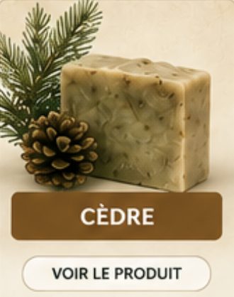 Cèdre