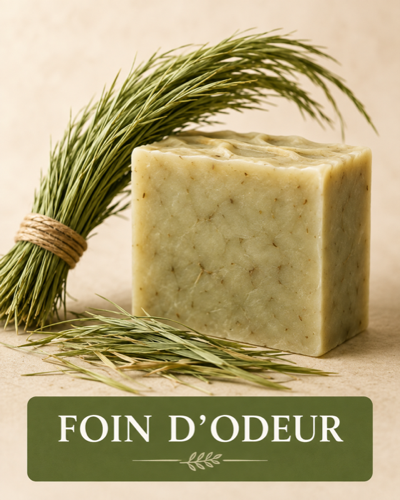 Foin d'odeur