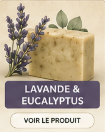 Lavande et Eucalyptus