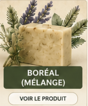 Boréal