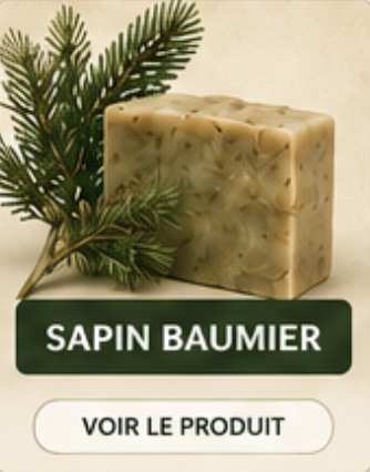 Sapin Baumier